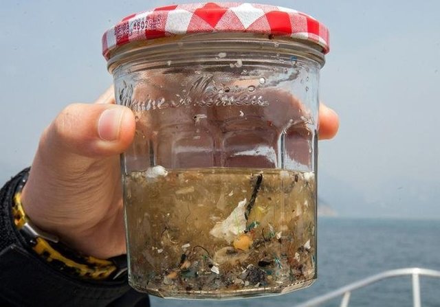 如果知道海洋中的塑料垃圾會(huì)進(jìn)入人類肚子，你還會(huì)丟嗎？