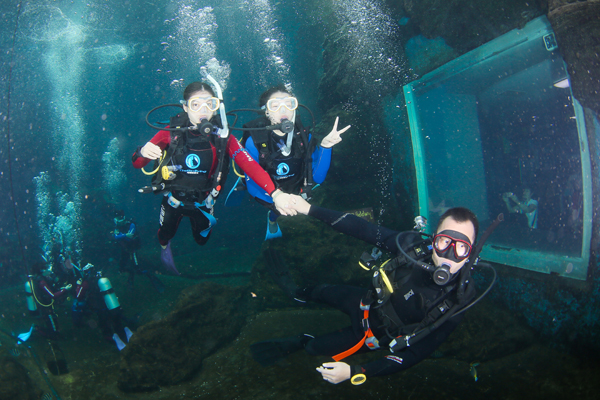 12/12正式上線！PADI 最新課程【休閑潛水員Resort Diver】 丨 一天拿證，潛遍全球