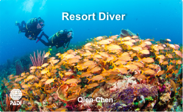 12/12正式上線！PADI 最新課程【休閑潛水員Resort Diver】 丨 一天拿證，潛遍全球