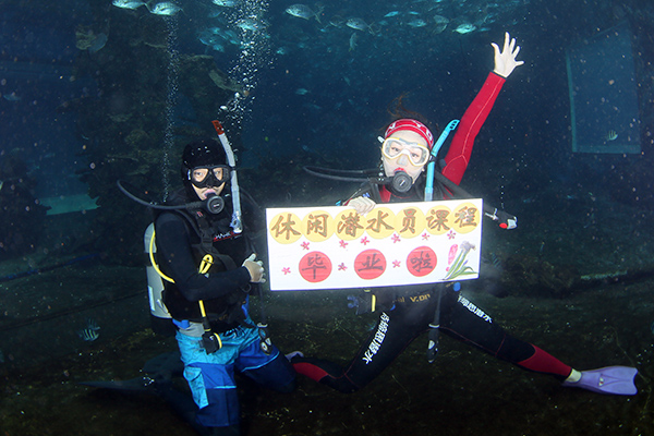 12/12正式上線！PADI 最新課程【休閑潛水員Resort Diver】 丨 一天拿證，潛遍全球