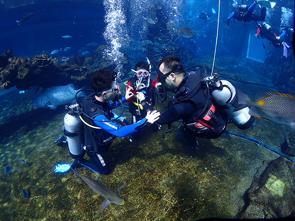 12/12正式上線！PADI 最新課程【休閑潛水員Resort Diver】 丨 一天拿證，潛遍全球